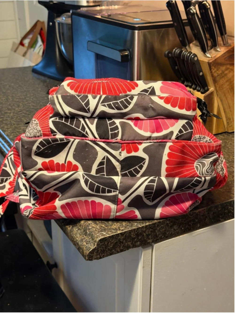 Vera Bradley Retired Cheery Blossoms Backpack